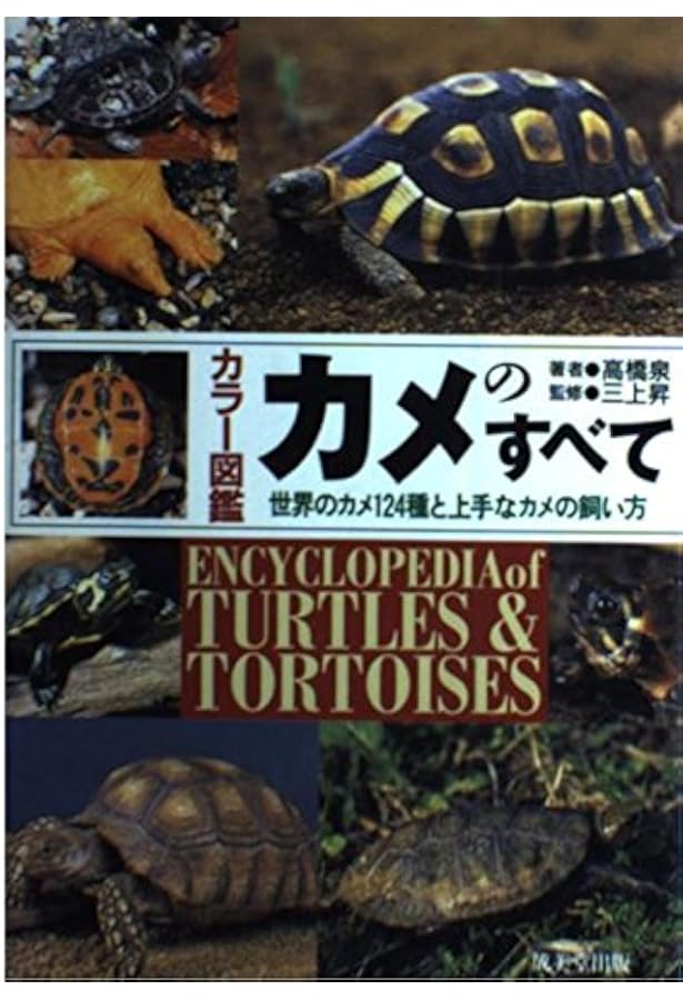 Amazon.co.jp: カメが好き! かめ亀KAME図鑑 (P-Vine Books) : みのじ